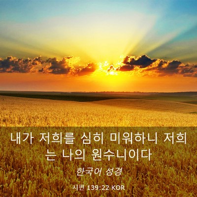 Picture 03 - 시편 139:22 KOR - 내가 저희를 심히 미워하니 저희는 - Bible Verse Picture
