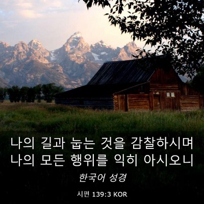 Picture 03 - 시편 139:3 KOR - 나의 길과 눕는 것을 감찰하시며 - Bible Verse Picture