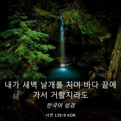 Picture 03 - 시편 139:9 KOR - 내가 새벽 날개를 치며 바다 끝에 - Bible Verse Picture