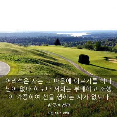 Picture 03 - 시편 14:1 KOR - 어리석은 자는 그 마음에 이르기를 - Bible Verse Picture