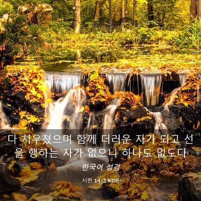 Picture 03 - 시편 14:3 KOR - 다 치우쳤으며 함께 더러운 자가 - Bible Verse Picture
