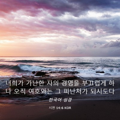 Picture 03 - 시편 14:6 KOR - 너희가 가난한 자의 경영을 부끄럽게 - Bible Verse Picture