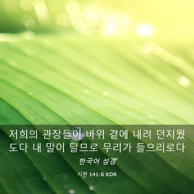 Picture 03 - 시편 141:6 KOR - 저희의 관장들이 바위 곁에 내려 - Bible Verse Picture