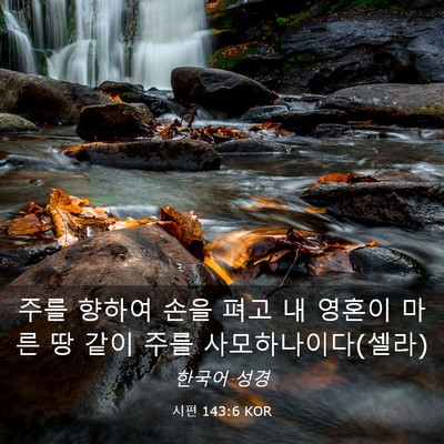 Picture 03 - 시편 143:6 KOR - 주를 향하여 손을 펴고 내 영혼이 - Bible Verse Picture