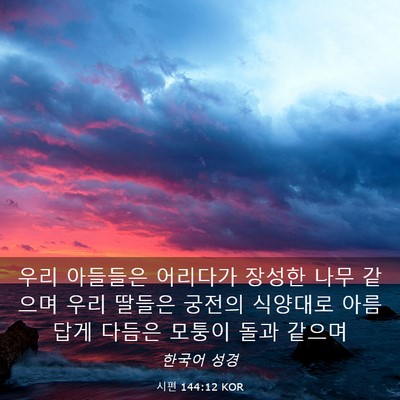 Picture 03 - 시편 144:12 KOR - 우리 아들들은 어리다가 장성한 나무 - Bible Verse Picture