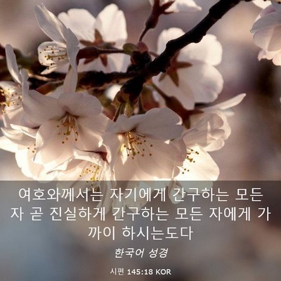 Picture 03 - 시편 145:18 KOR - 여호와께서는 자기에게 간구하는 - Bible Verse Picture