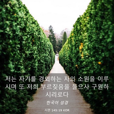 Picture 03 - 시편 145:19 KOR - 저는 자기를 경외하는 자의 소원을 - Bible Verse Picture