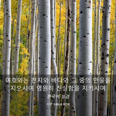 Picture 03 - 시편 146:6 KOR - 여호와는 천지와 바다와 그 중의 - Bible Verse Picture