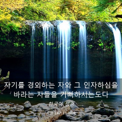 Picture 03 - 시편 147:11 KOR - 자기를 경외하는 자와 그 인자하심을 - Bible Verse Picture