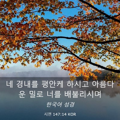 Picture 03 - 시편 147:14 KOR - 네 경내를 평안케 하시고 아름다운 - Bible Verse Picture