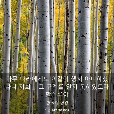 Picture 03 - 시편 147:20 KOR - 아무 나라에게도 이같이 행치 - Bible Verse Picture