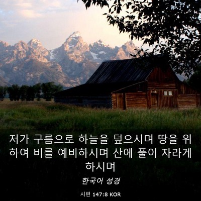 Picture 03 - 시편 147:8 KOR - 저가 구름으로 하늘을 덮으시며 땅을 - Bible Verse Picture