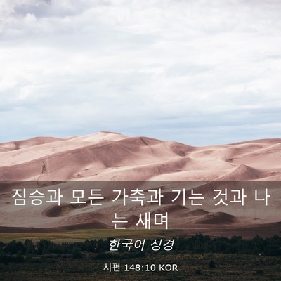 Picture 03 - 시편 148:10 KOR - 짐승과 모든 가축과 기는 것과 나는 - Bible Verse Picture