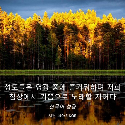 Picture 03 - 시편 149:5 KOR - 성도들은 영광 중에 즐거워하며 저희 - Bible Verse Picture