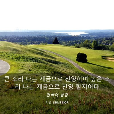 Picture 03 - 시편 150:5 KOR - 큰 소리 나는 제금으로 찬양하며 - Bible Verse Picture