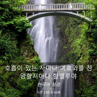 Picture 03 - 시편 150:6 KOR - 호흡이 있는 자마다 여호와를 - Bible Verse Picture