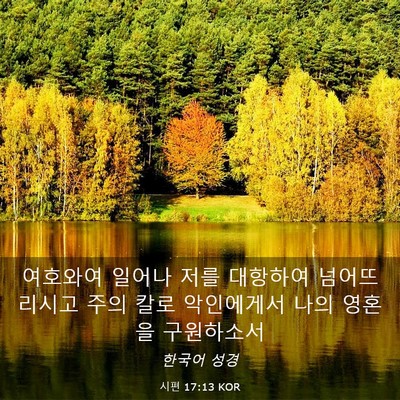 Picture 03 - 시편 17:13 KOR - 여호와여 일어나 저를 대항하여 - Bible Verse Picture