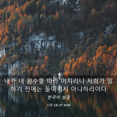 Picture 03 - 시편 18:37 KOR - 내가 내 원수를 따라 미치리니 - Bible Verse Picture