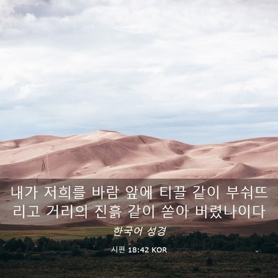 Picture 03 - 시편 18:42 KOR - 내가 저희를 바람 앞에 티끌 같이 - Bible Verse Picture