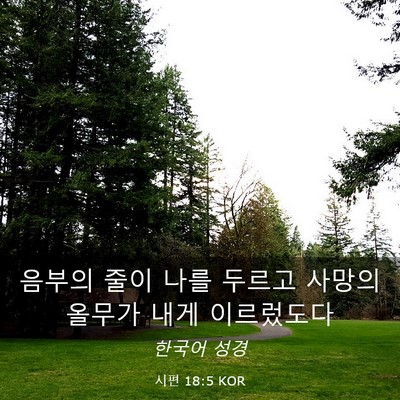 Picture 03 - 시편 18:5 KOR - 음부의 줄이 나를 두르고 사망의 - Bible Verse Picture