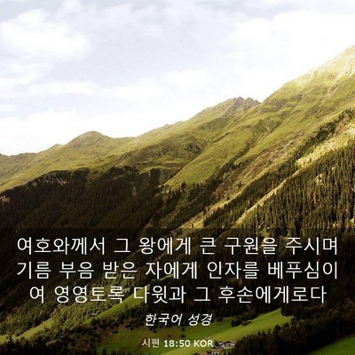 Picture 03 - 시편 18:50 KOR - 여호와께서 그 왕에게 큰 구원을 - Bible Verse Picture