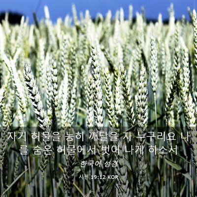 Picture 03 - 시편 19:12 KOR - 자기 허물을 능히 깨달을 자 - Bible Verse Picture