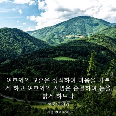 Picture 03 - 시편 19:8 KOR - 여호와의 교훈은 정직하여 마음을 - Bible Verse Picture