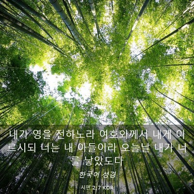 Picture 03 - 시편 2:7 KOR - 내가 영을 전하노라 여호와께서 내게 - Bible Verse Picture
