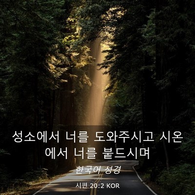 Picture 03 - 시편 20:2 KOR - 성소에서 너를 도와주시고 시온에서 - Bible Verse Picture