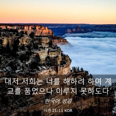 Picture 03 - 시편 21:11 KOR - 대저 저희는 너를 해하려 하여 - Bible Verse Picture