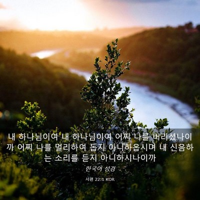 Picture 03 - 시편 22:1 KOR - 내 하나님이여 내 하나님이여 어찌 - Bible Verse Picture