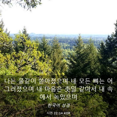 Picture 03 - 시편 22:14 KOR - 나는 물같이 쏟아졌으며 내 모든 - Bible Verse Picture