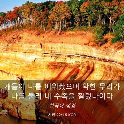 Picture 03 - 시편 22:16 KOR - 개들이 나를 에워쌌으며 악한 무리가 - Bible Verse Picture