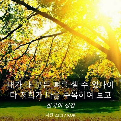 Picture 03 - 시편 22:17 KOR - 내가 내 모든 뼈를 셀 수 있나이다 - Bible Verse Picture