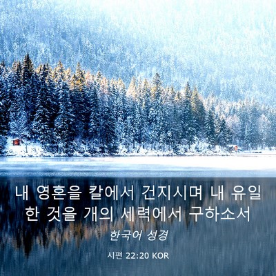 Picture 03 - 시편 22:20 KOR - 내 영혼을 칼에서 건지시며 내 - Bible Verse Picture