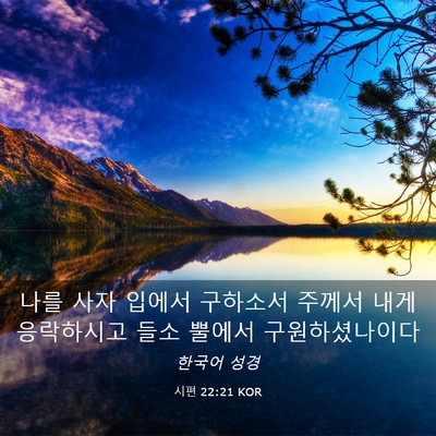 Picture 03 - 시편 22:21 KOR - 나를 사자 입에서 구하소서 주께서 - Bible Verse Picture