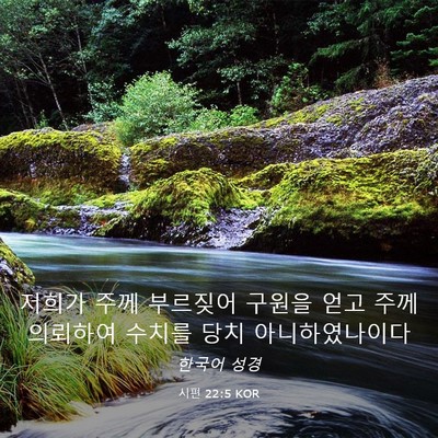 Picture 03 - 시편 22:5 KOR - 저희가 주께 부르짖어 구원을 얻고 - Bible Verse Picture