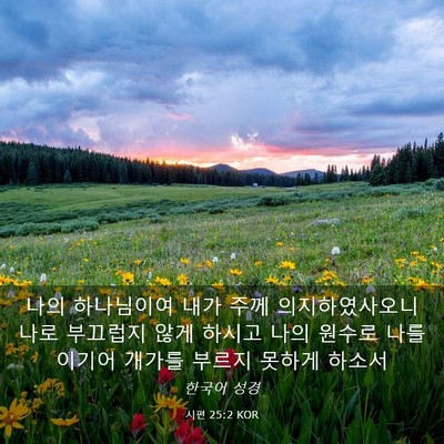 Picture 03 - 시편 25:2 KOR - 나의 하나님이여 내가 주께 - Bible Verse Picture