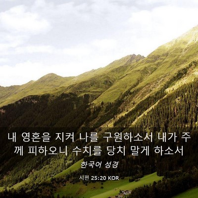 Picture 03 - 시편 25:20 KOR - 내 영혼을 지켜 나를 구원하소서 - Bible Verse Picture