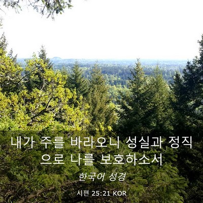 Picture 03 - 시편 25:21 KOR - 내가 주를 바라오니 성실과 정직으로 - Bible Verse Picture