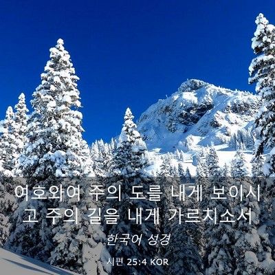 Picture 03 - 시편 25:4 KOR - 여호와여 주의 도를 내게 보이시고 - Bible Verse Picture