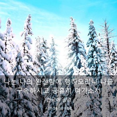 Picture 03 - 시편 26:11 KOR - 나는 나의 완전함에 행하오리니 나를 - Bible Verse Picture