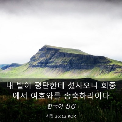 Picture 03 - 시편 26:12 KOR - 내 발이 평탄한데 섰사오니 회중에서 - Bible Verse Picture