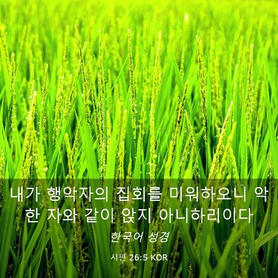 Picture 03 - 시편 26:5 KOR - 내가 행악자의 집회를 미워하오니 - Bible Verse Picture