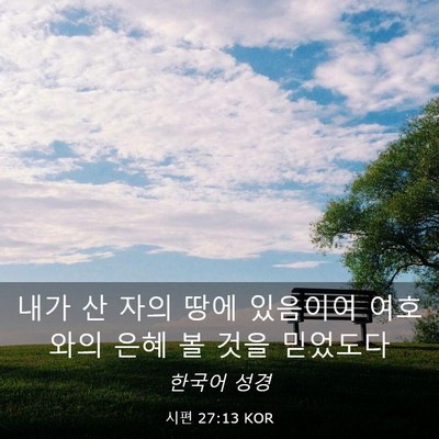 Picture 03 - 시편 27:13 KOR - 내가 산 자의 땅에 있음이여 - Bible Verse Picture
