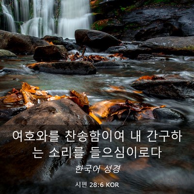 Picture 03 - 시편 28:6 KOR - 여호와를 찬송함이여 내 간구하는 - Bible Verse Picture