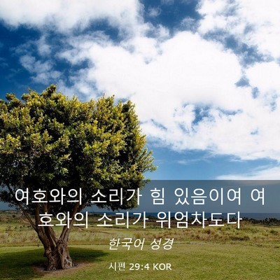 Picture 03 - 시편 29:4 KOR - 여호와의 소리가 힘 있음이여 - Bible Verse Picture