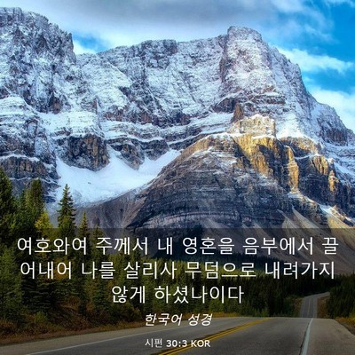 Picture 03 - 시편 30:3 KOR - 여호와여 주께서 내 영혼을 음부에서 - Bible Verse Picture