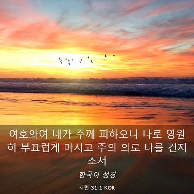 Picture 03 - 시편 31:1 KOR - 여호와여 내가 주께 피하오니 나로 - Bible Verse Picture