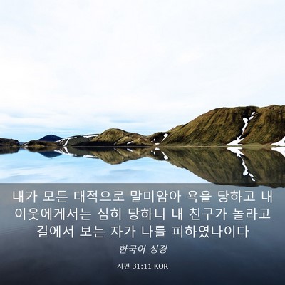 Picture 03 - 시편 31:11 KOR - 내가 모든 대적으로 말미암아 욕을 - Bible Verse Picture
